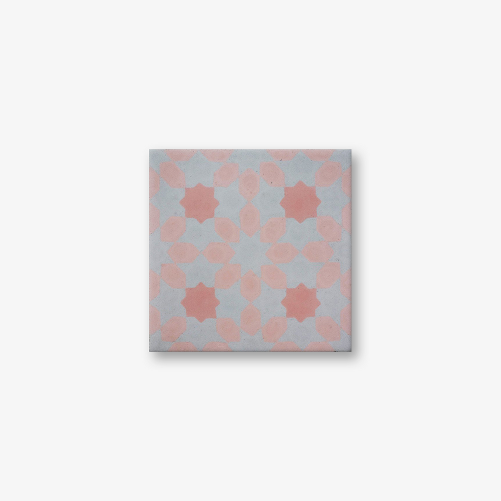 Misiones Rose Encaustic Cement Tile